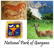 National Park of Gargano