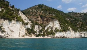 The cliffed rocky coast near Mattinata (Gargano National Park, Foggia Province - Apulia) 